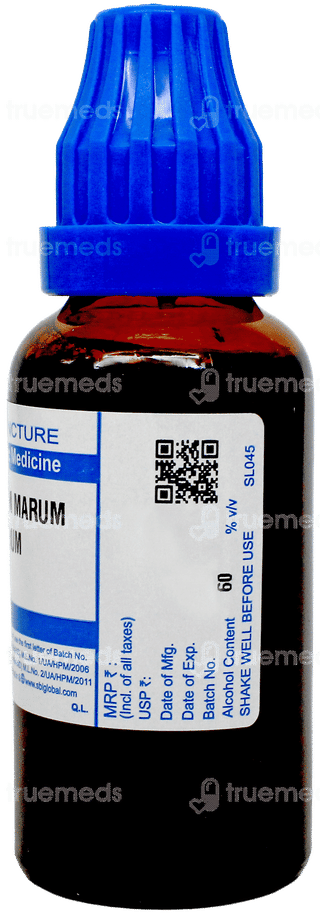 Sbl Teucrium Marum Verum Q Mother Tincture 30Ml